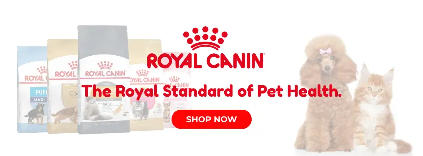 Royal canin pet food