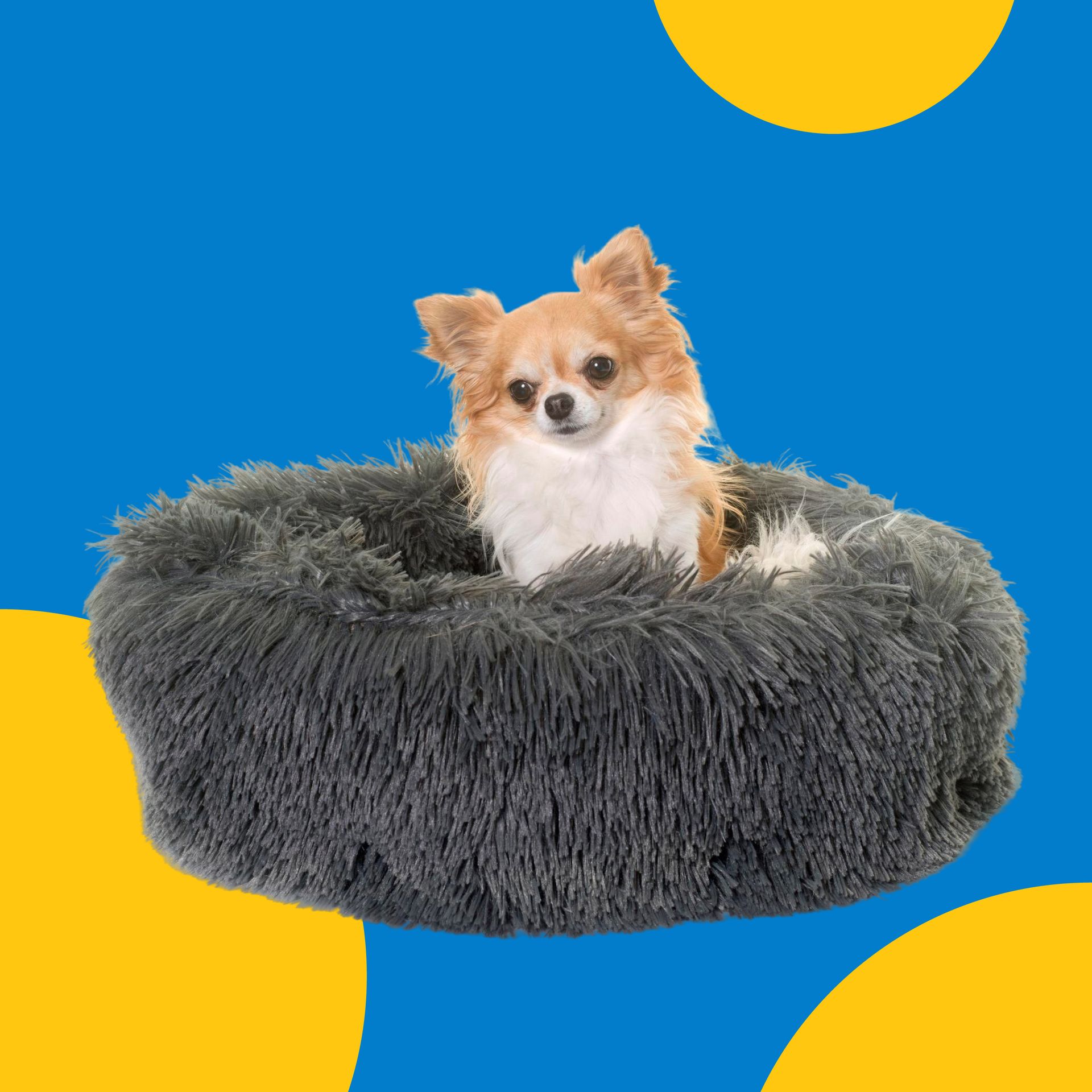beds best cat beds, best dog beds, best small pets beds