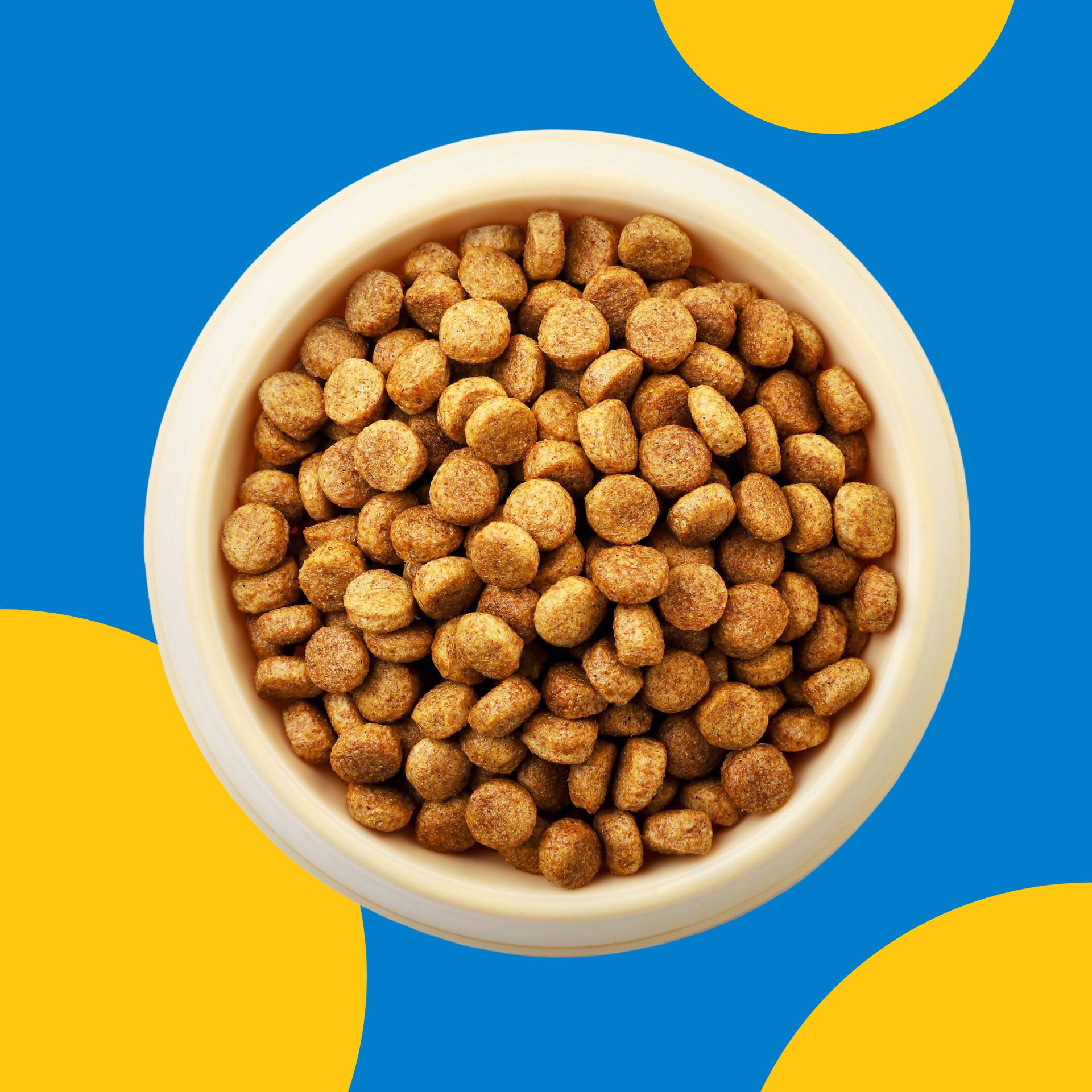 Dog food Dog food : best dog food in uae