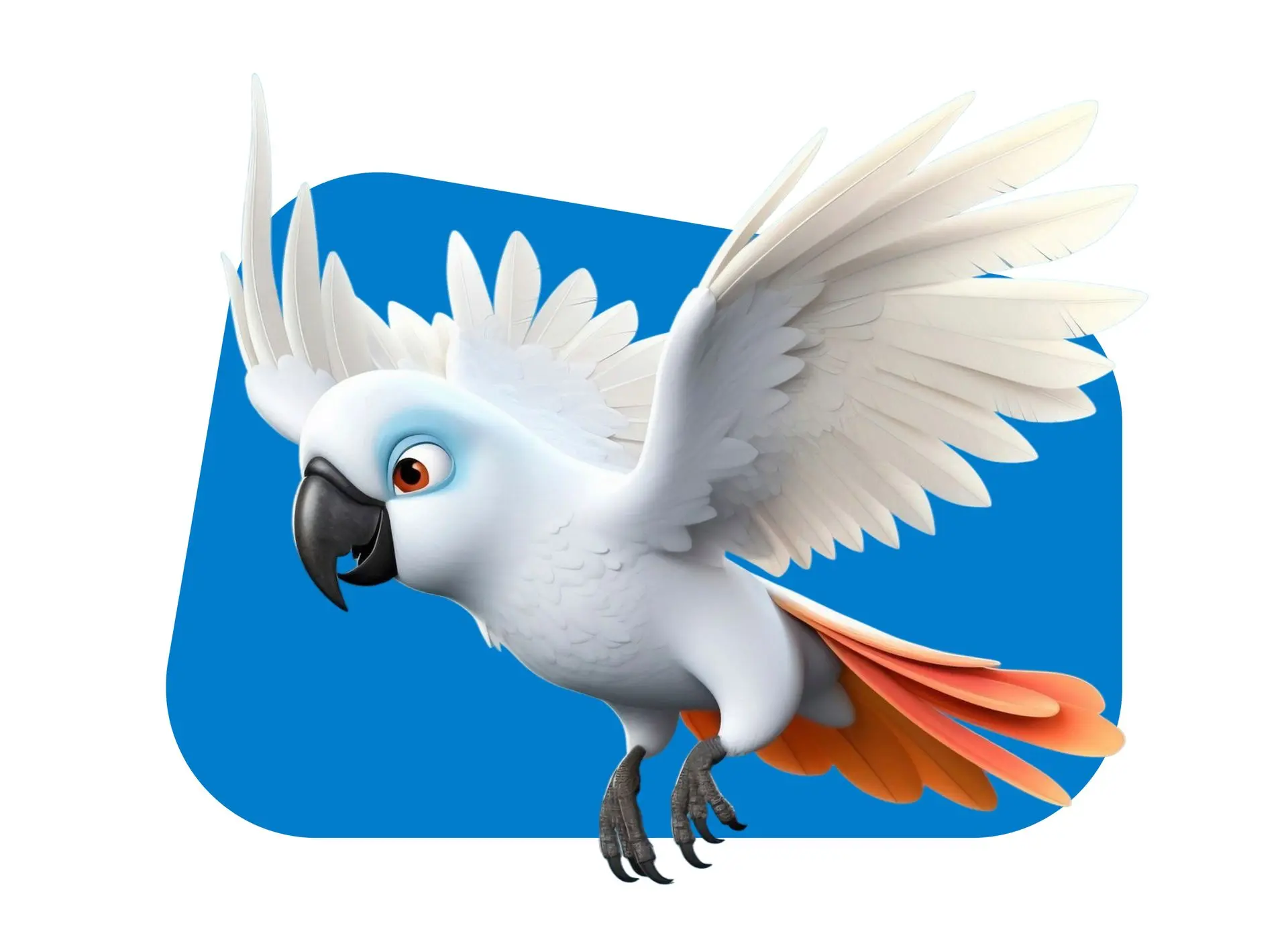 Bird supplies bird food and supplies in uae