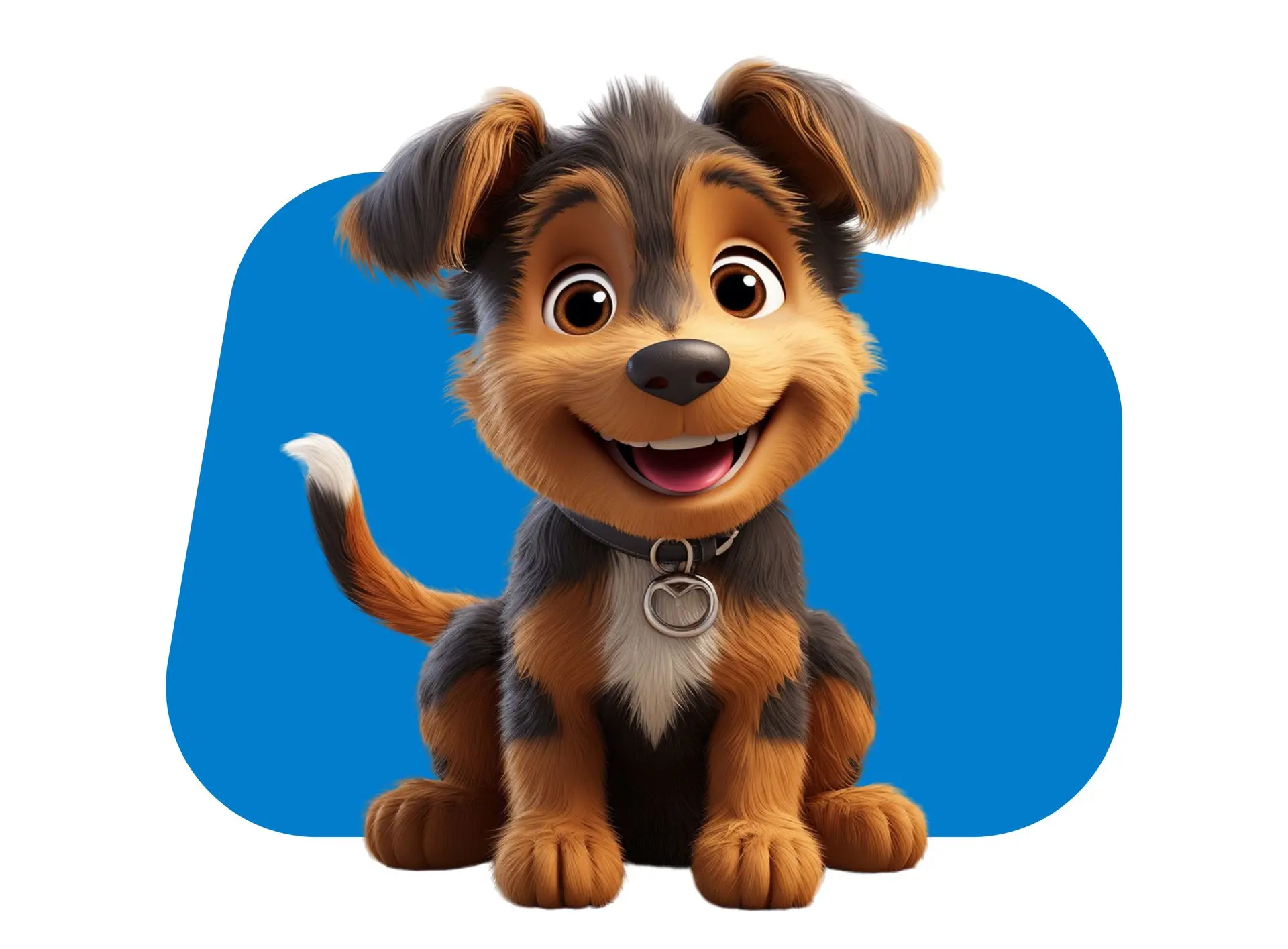 Dg supplies dog food and dog supplies in uae